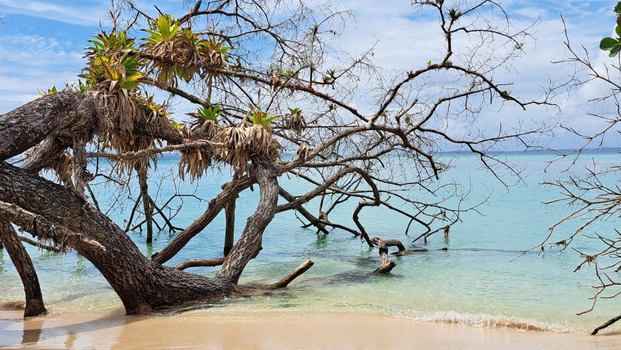 El Clandestino Villa Bocas del Toro Exteriör bild