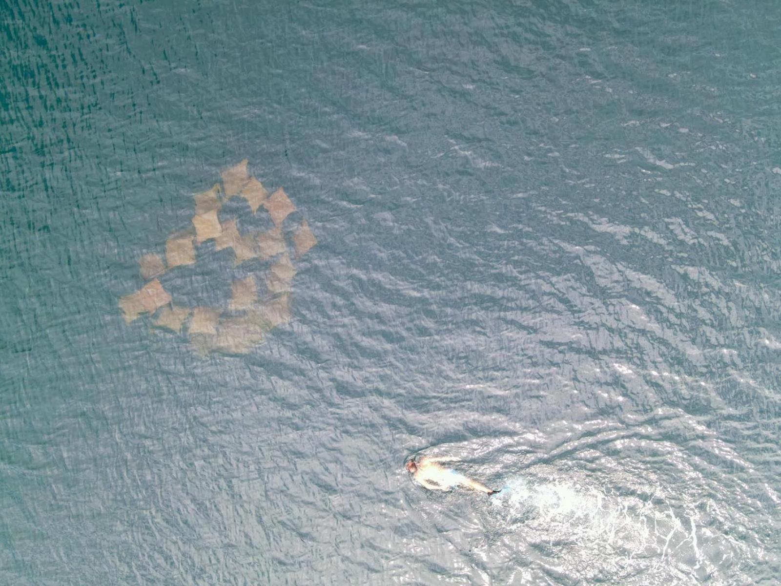 El Clandestino Villa Bocas del Toro Exteriör bild